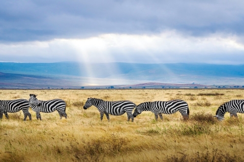Safari privado de 5 días por Tanzania