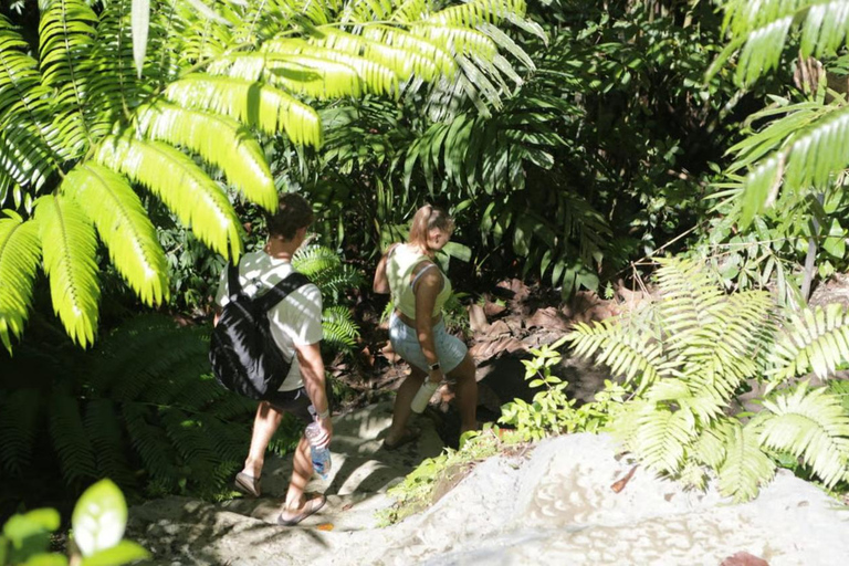 Alas Tirta: Bali Swing, Zipline & Hidden Waterfall - Ubud One Swing Package