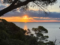 Tour a Barcellona, Costa Brava con Tossa de Mar e gita in barca - Hizvo
