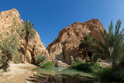 From Tunis, Hammamet, Sousse: Sahara Camping Sunset & oasis From sousse or monastir
