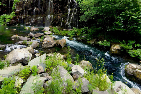Tbilisi: Dashbashi Canyon Day Trip