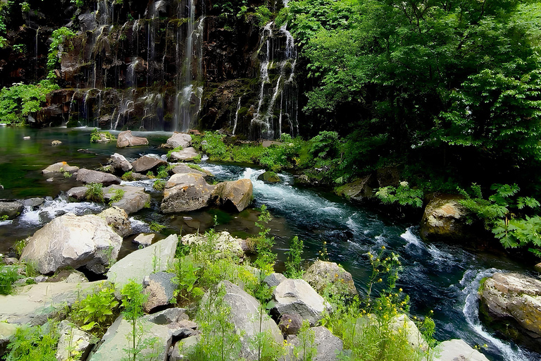 Tbilisi: Dashbashi Canyon Day Trip