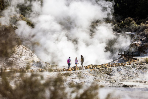 From Rotorua: HELL's GATE Geothermal MUD BATH Half Day Tour