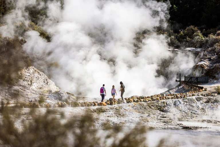 Desde Rotorua: Excursión de medio día al BAÑO DE BARRO GEOTÉRMICO DE HELL&#039;S GATE