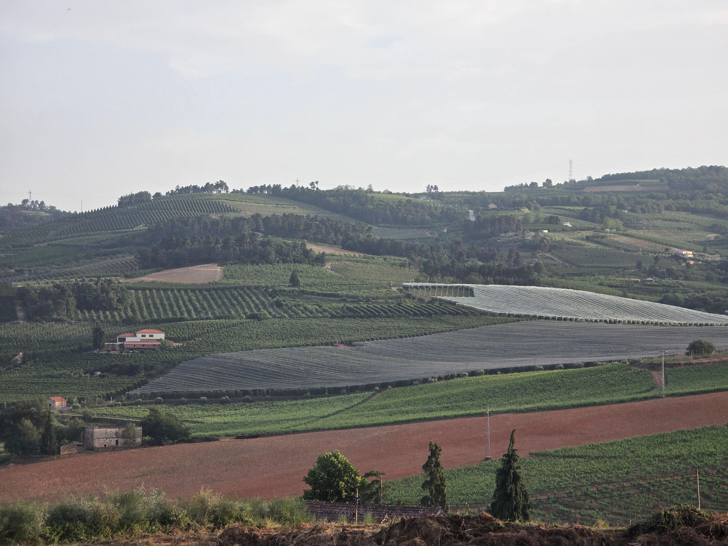 Douro-Tal: Mittagessen und Verkostung von Bergäpfeln