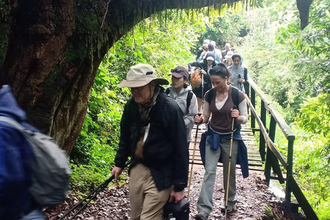 Kilimanjaro: 6-daagse trektocht Umbwe-routeKilimanjaro: 6-daagse trektocht via de Umbwe-route