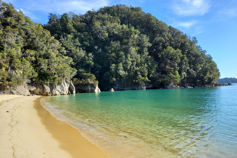 Nova Zelândia: Tour guiado de 17 dias pela Ilha do Sul com acampamento