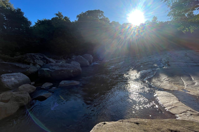 Colombo To Maskeliya & Waterfalls Day Trip