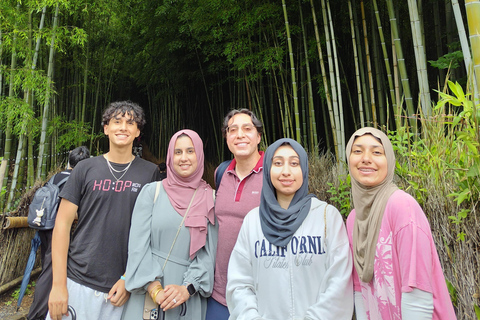 Shore excursion: A Private Kyoto Tour From Osaka/Kobe Port Private Tour for Maximum 8 Travelers in the Group