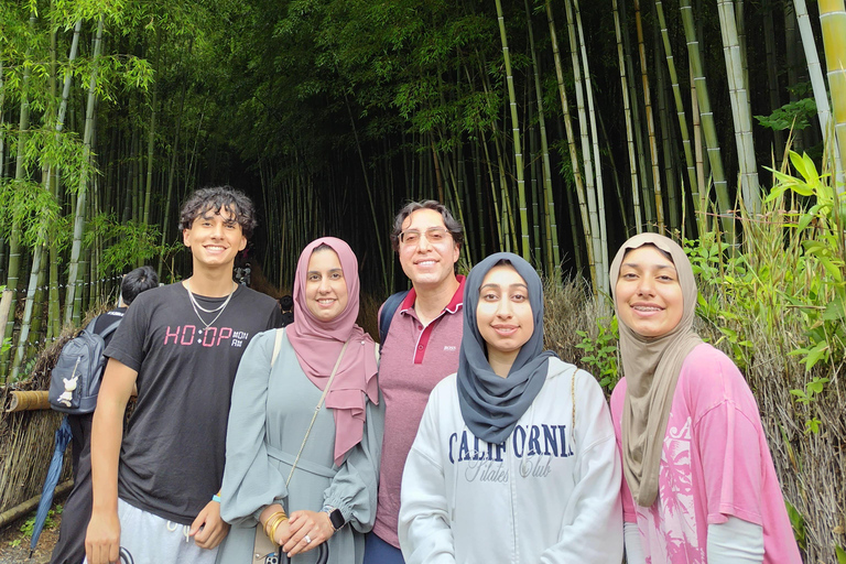 Shore excursion: A Private Kyoto Tour From Osaka/Kobe Port Private Tour for Maximum 8 Travelers in the Group
