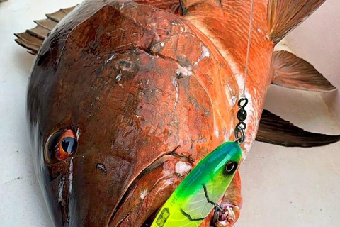 Playa Mantas: Beach Fishing Tour Beach Fishing Tour at Playa Mantas