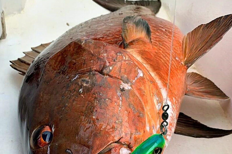 Playa Mantas: Beach Fishing Tour Beach Fishing Tour at Playa Mantas