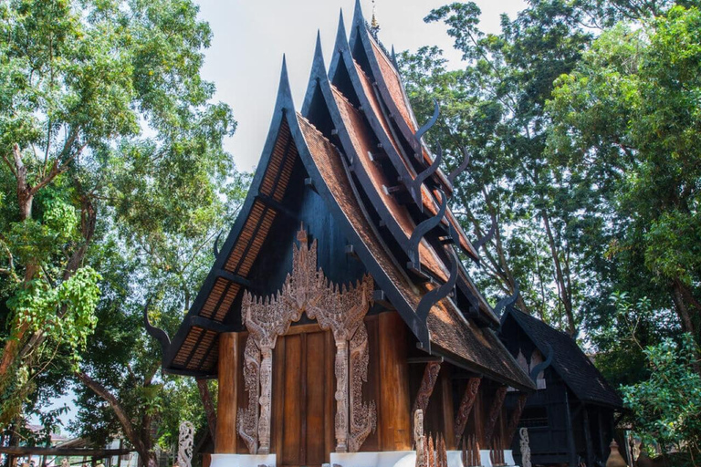 Chiang Mai: Chiang Rai White, Blue & Black Temples Day Tour Meeting point Wat Phra Singh (Hotel Outside Pickup Area)