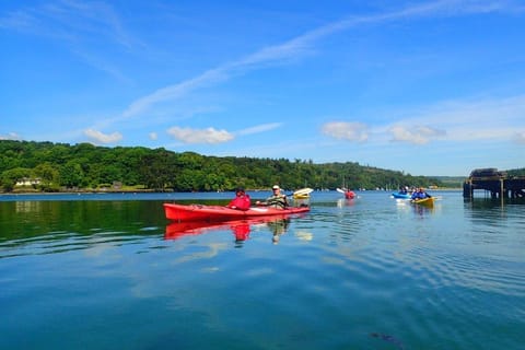 West Cork: Sea Kayaking and Castlehaven Bay Adventure - Image 2