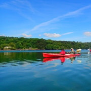 West Cork: Sea Kayaking and Castlehaven Bay Adventure West Cork: Sea Kayaking and Castlehaven Bay Adventure