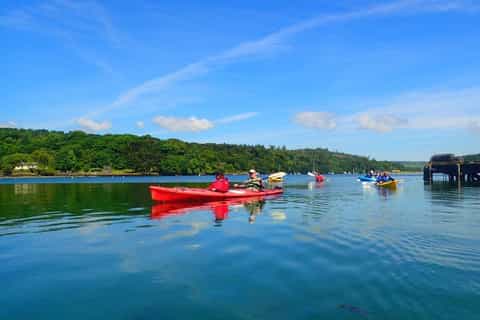 West Cork: Sea Kayaking and Castlehaven Bay Adventure - Image 3