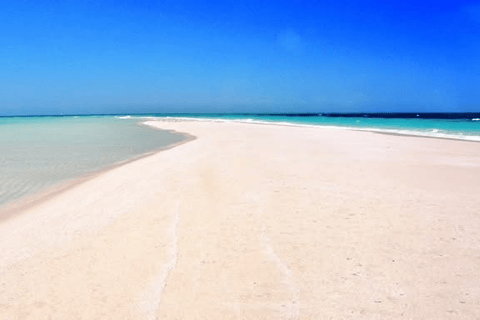 Choses à faire : Pique-nique sur le banc de sable de Nakupenda avec plongée en apnée