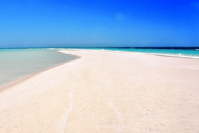 Choses à faire : Pique-nique sur le banc de sable de Nakupenda avec plongée en apnée