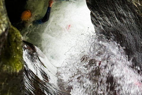 Queenstown: Gibbston Valley Half-Day Canyoning Adventure