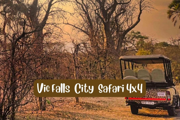 Wodospady Wiktorii: 4x4 Victoria Falls City SafariWodospady Wiktorii: Miejskie Safari w 4x4