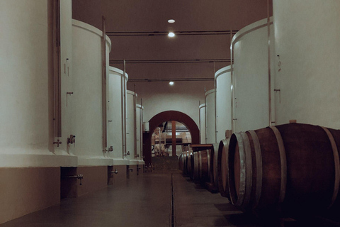 La Palma: Stargazing & Wine Tasting at Bodegas Teneguía