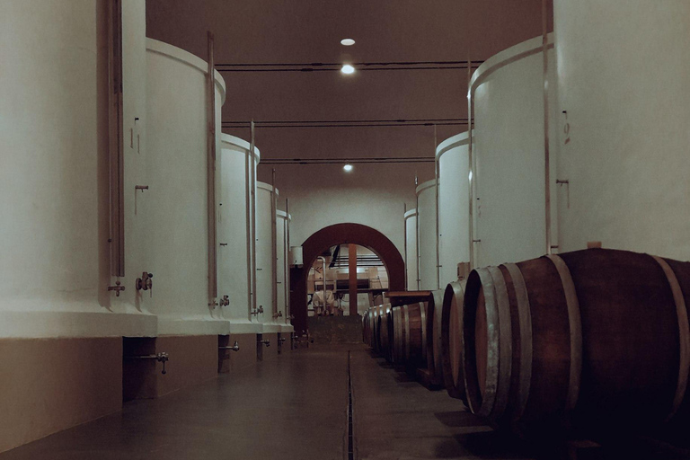 La Palma: Stargazing & Wine Tasting at Bodegas Teneguía