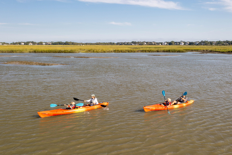 Charleston: Folly Beach Kayak Dolphin Safari Single Sit In Kayak for Tour