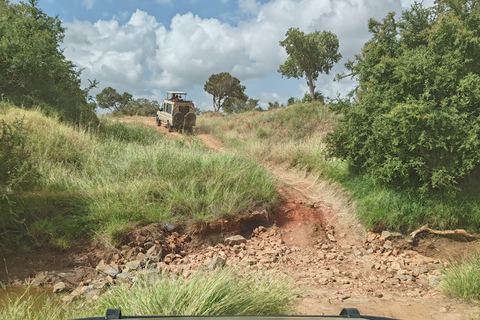 De Watamu: Safari de 2 dias no Parque Nacional Tsavo Este