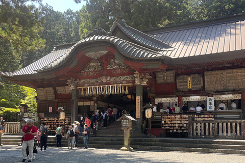 4-Daagse privétour Mt Fuji, Hakone, Nikko en Tokio.