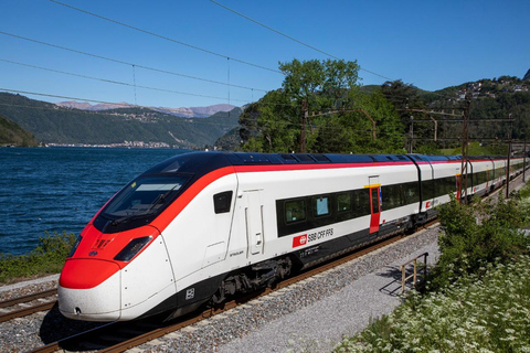 Zurich: ZVV 1-Day Pass with Unlimited Zone 110 & 121 Travel