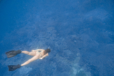 Lombok: Pink Beach and Snorkeling Trip With Lunch Special For Big Group Trip