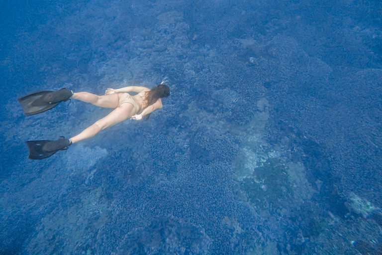 Lombok: Pink Beach and Snorkeling Trip With Lunch Special For Big Group Trip