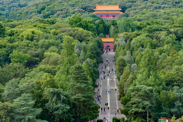 From Shanghai: Nanjing Private Day Trip by High-Speed Rail