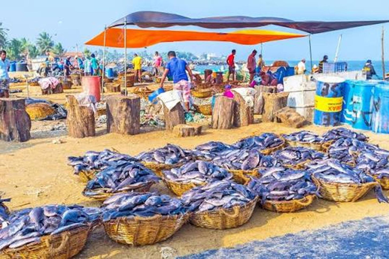 Negombo: Guided City Tour with Airport Drop-Off