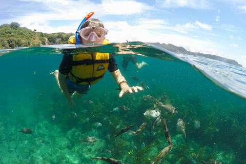 Whitianga: 2-Hour Glass Bottom Boat Cathedral Cove Tour