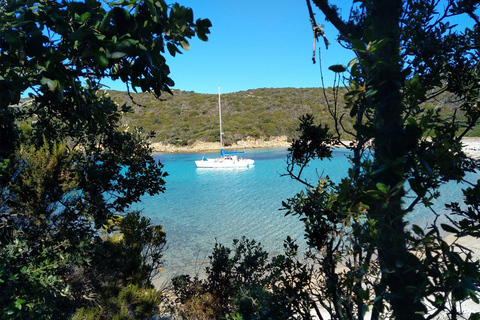 Catamaran cruise tour departing from Ajaccio – small group Catamaran cruise tour from Ajaccio – small group
