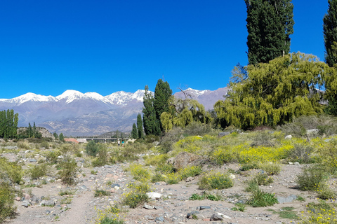 Flavors and wellness: wines, hot springs and gastronomy in Mendoza