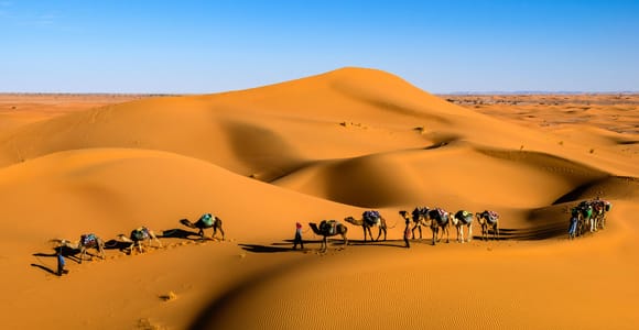 Doha: Desert Safari with Dune Bashing & Camel Ride