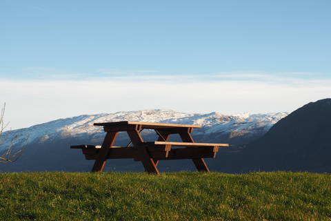 Guidad tur till Hardangerfjorden, vattenfall, färjeöverfart