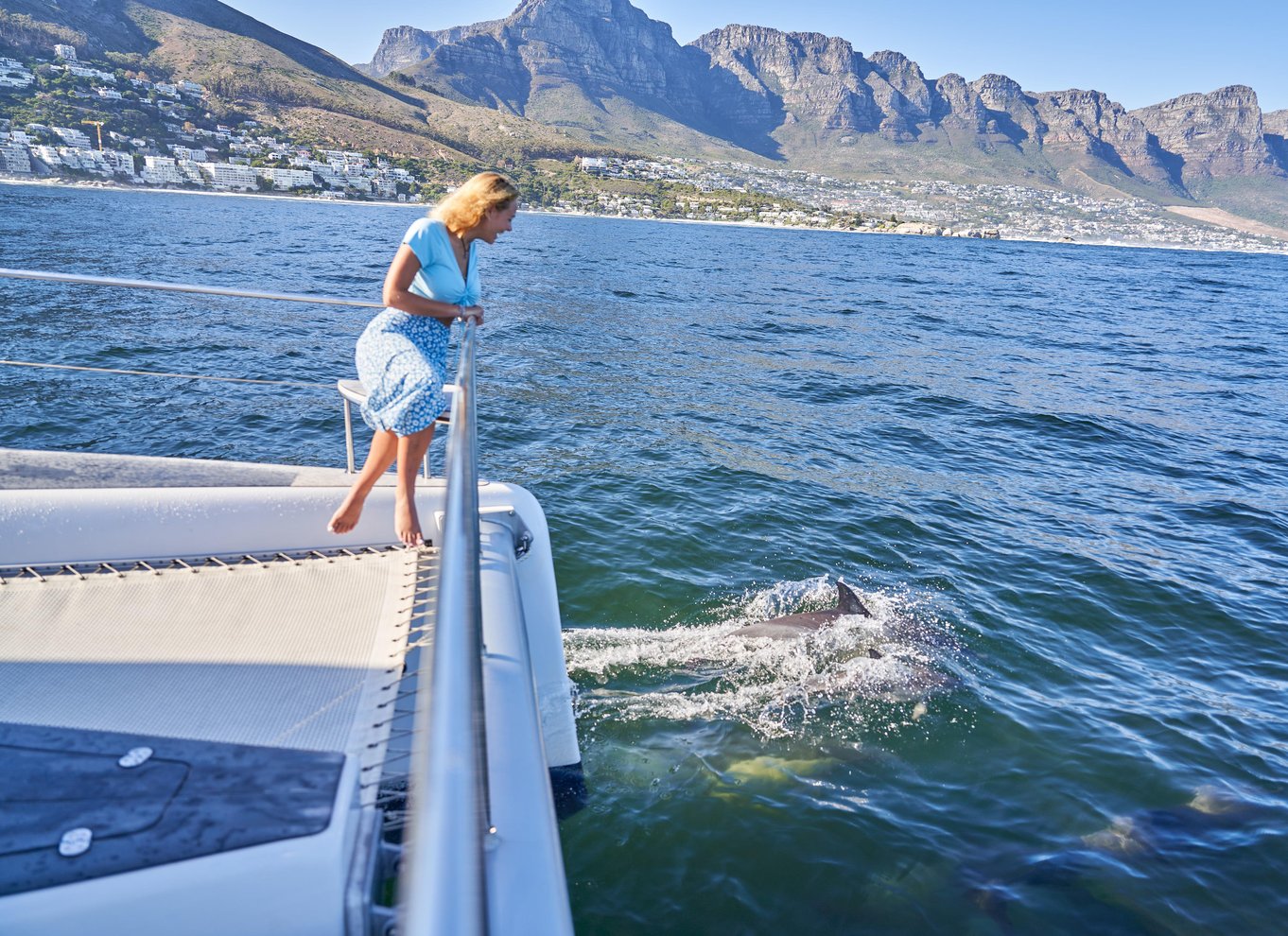 Cape Town: 1 times katamaransejlads langs den maleriske kyst
