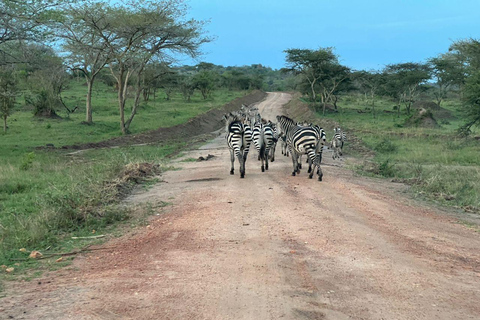 2 Day Lake Mburo Safari: Wildlife, Cycling, & Boat Ride