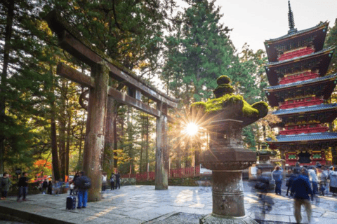 From Tokyo: Nikko World Heritage Private Tour with Guide Nikko World Heritage Full Day share Van tour