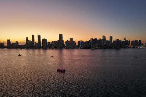 Miami: Millionaire's Row Cruise with Bay Swim Stop