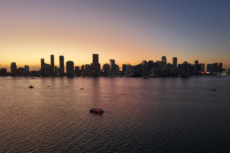 Miami: Millionaire's Row Cruise with Bay Swim Stop
