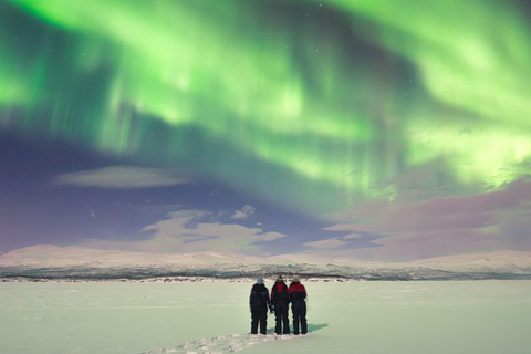 Abisko: Nordlicht-Schneeschuhwanderung mit Abendessen