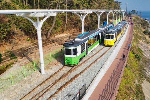 Busan: Beach Train, Gamcheon, Skywalk, Huinnyeoul Village Depart from Haeundae Station, Exit 5 at 9:30 am