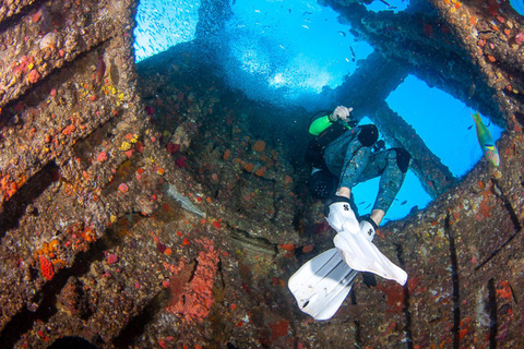 Sunshine Coast : Plongée sous-marine sur l&#039;épave de l&#039;ex-HMAS de Brisbane