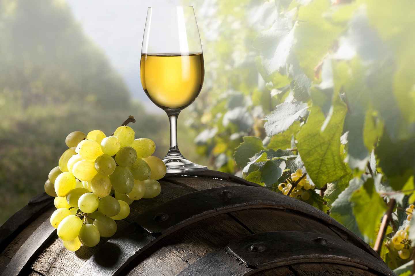 Visite de Maribor et Styrie avec Dégustation de Vin