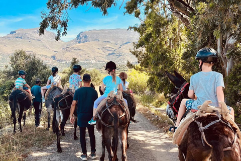 Donkey Ride - Cretan CountryDNK: Donkey Ride - Cretan Country