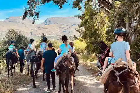 Donkey Ride - Cretan Country